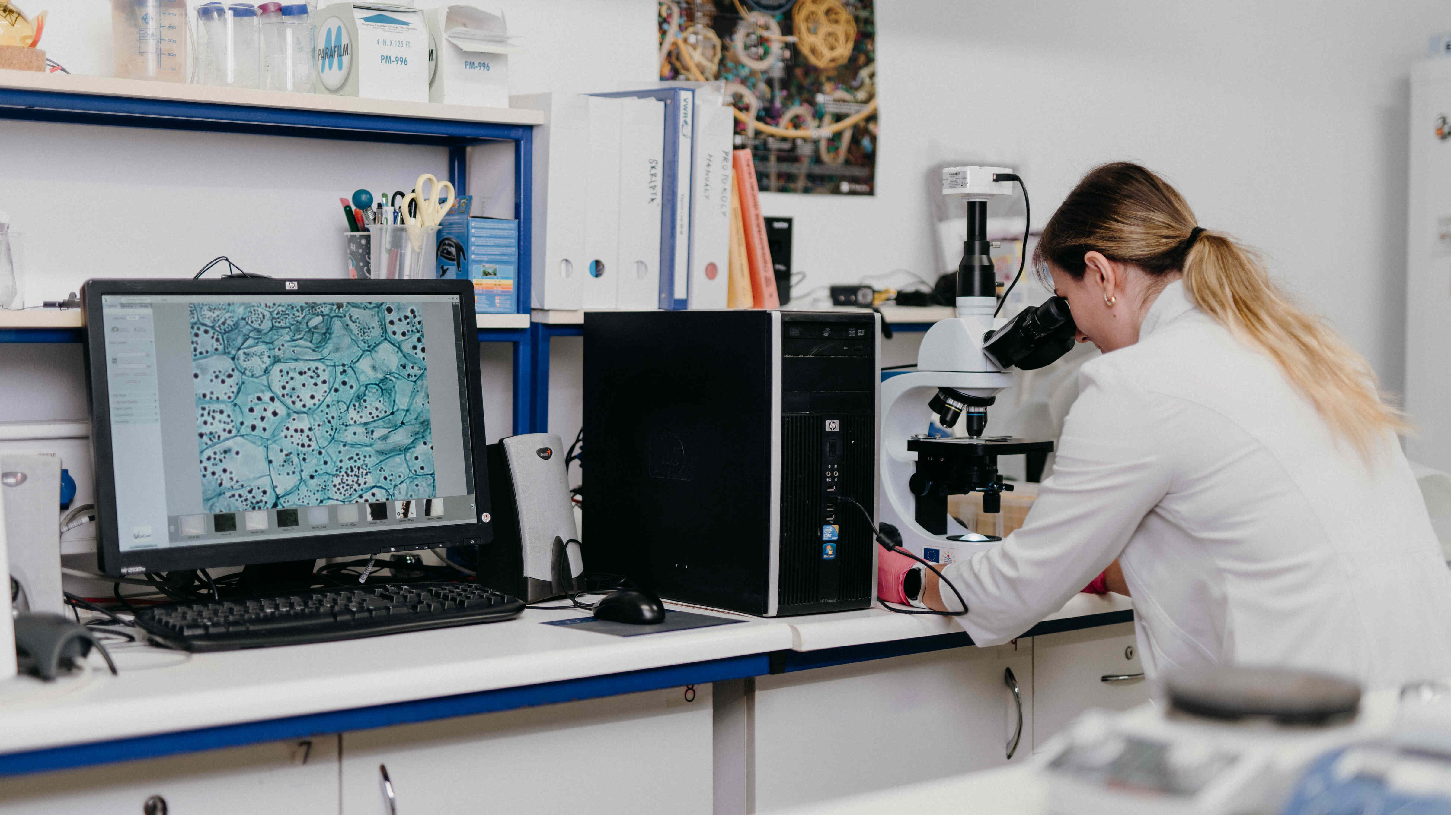 dsc0334 | WebJET CMS