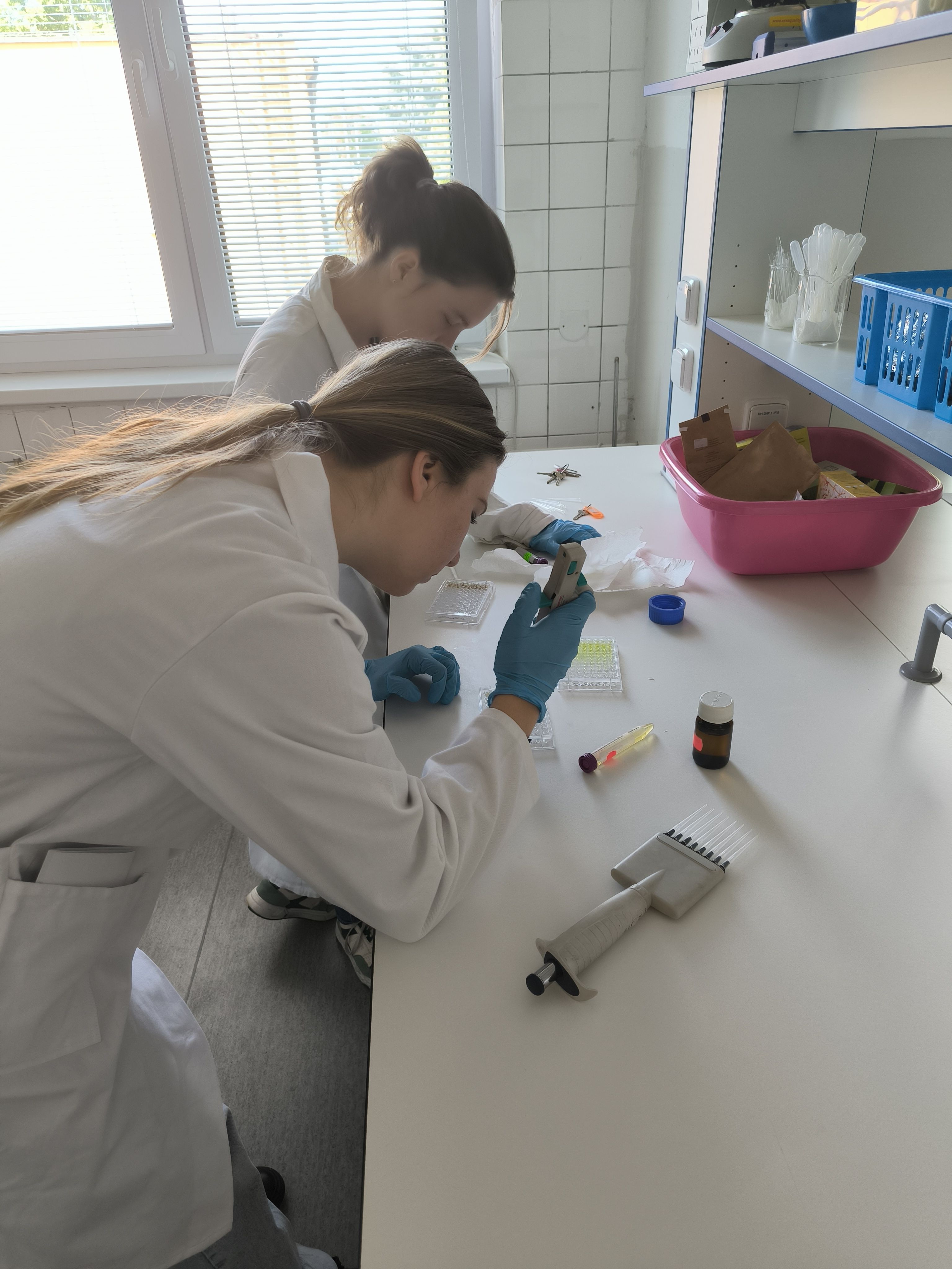 img 20250528 093956 | WebJET CMS