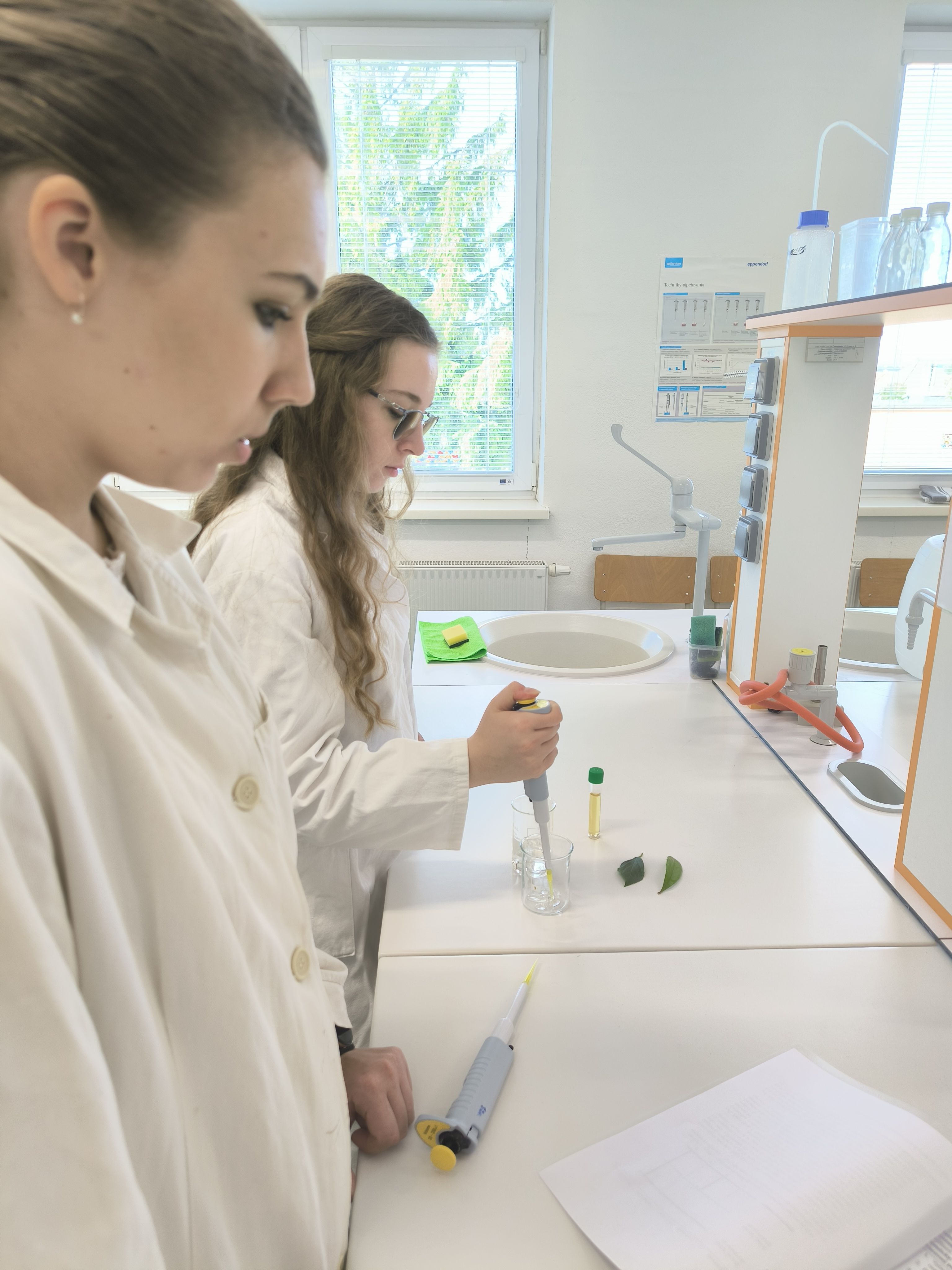 img 20250528 094255 | WebJET CMS