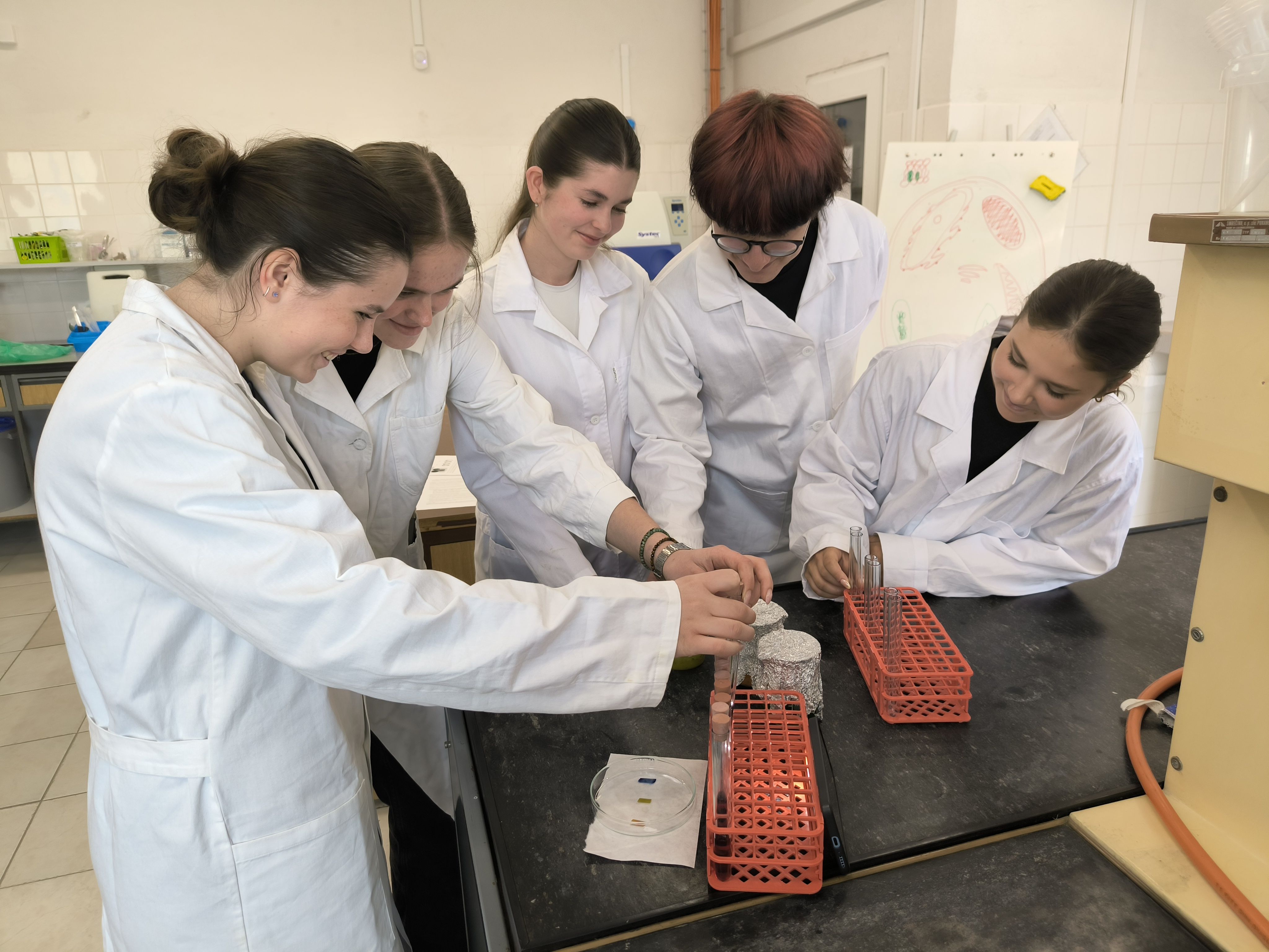 img 20250528 105205 | WebJET CMS