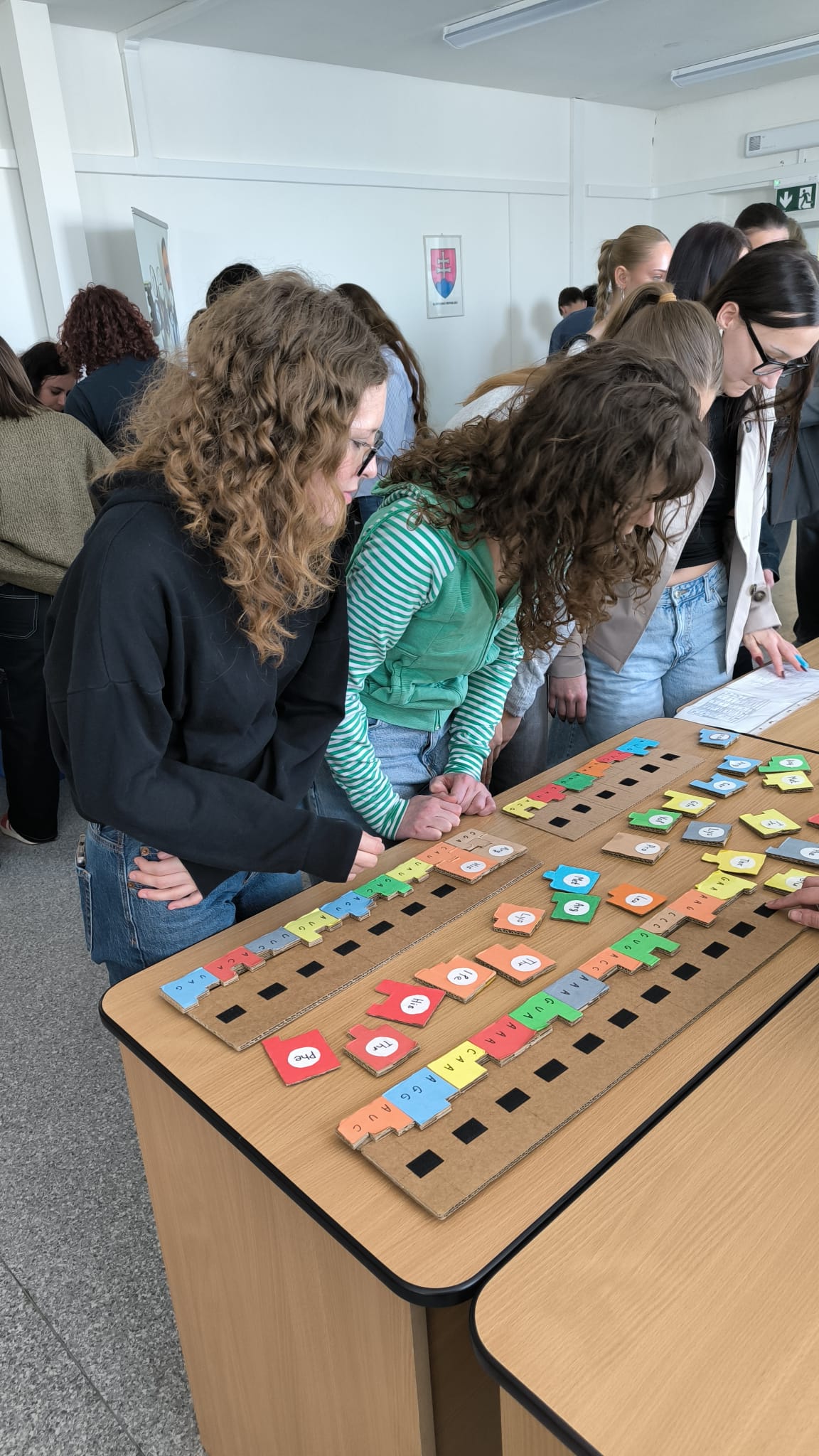 img 20260312 wa0017 | WebJET CMS