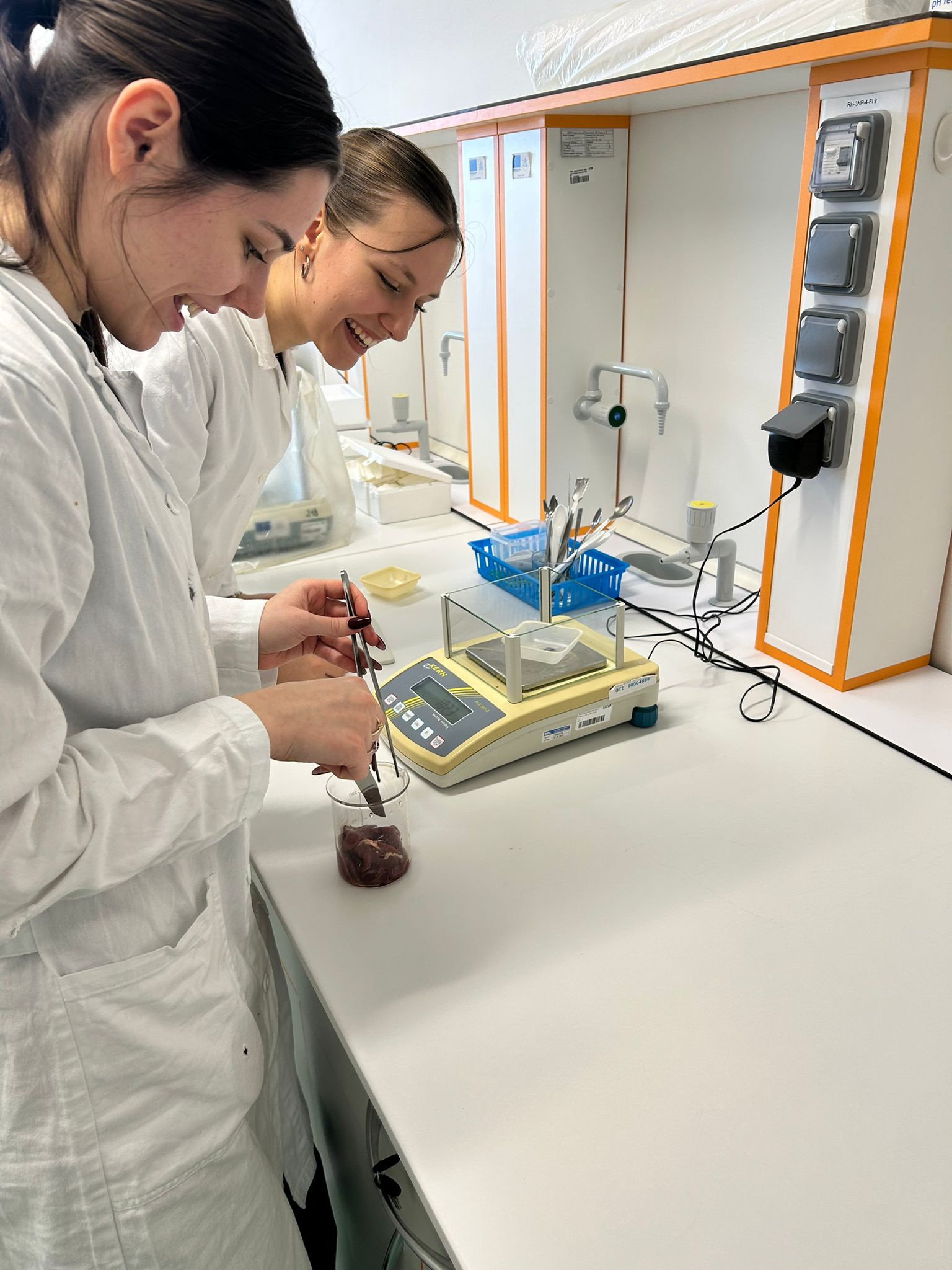 img 20250130 wa0003 | WebJET CMS