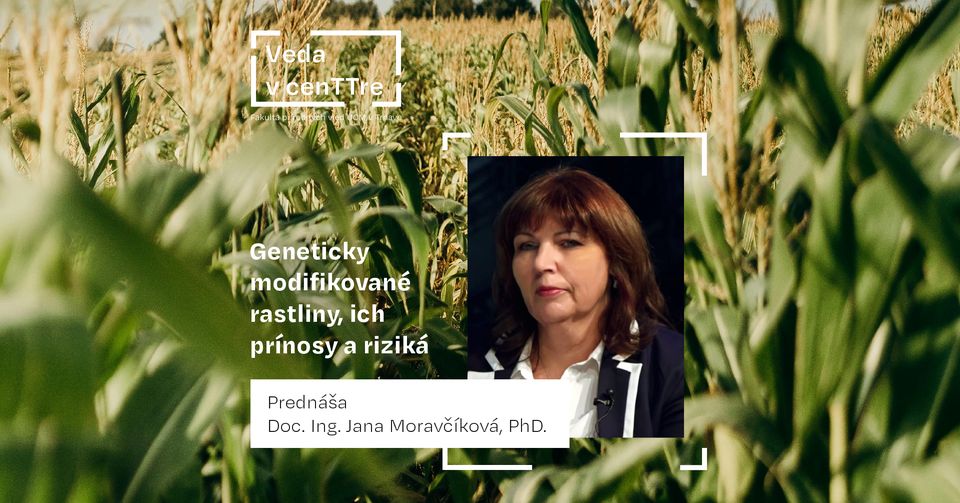 pexels divinetechygirl 1181396 | WebJET CMS