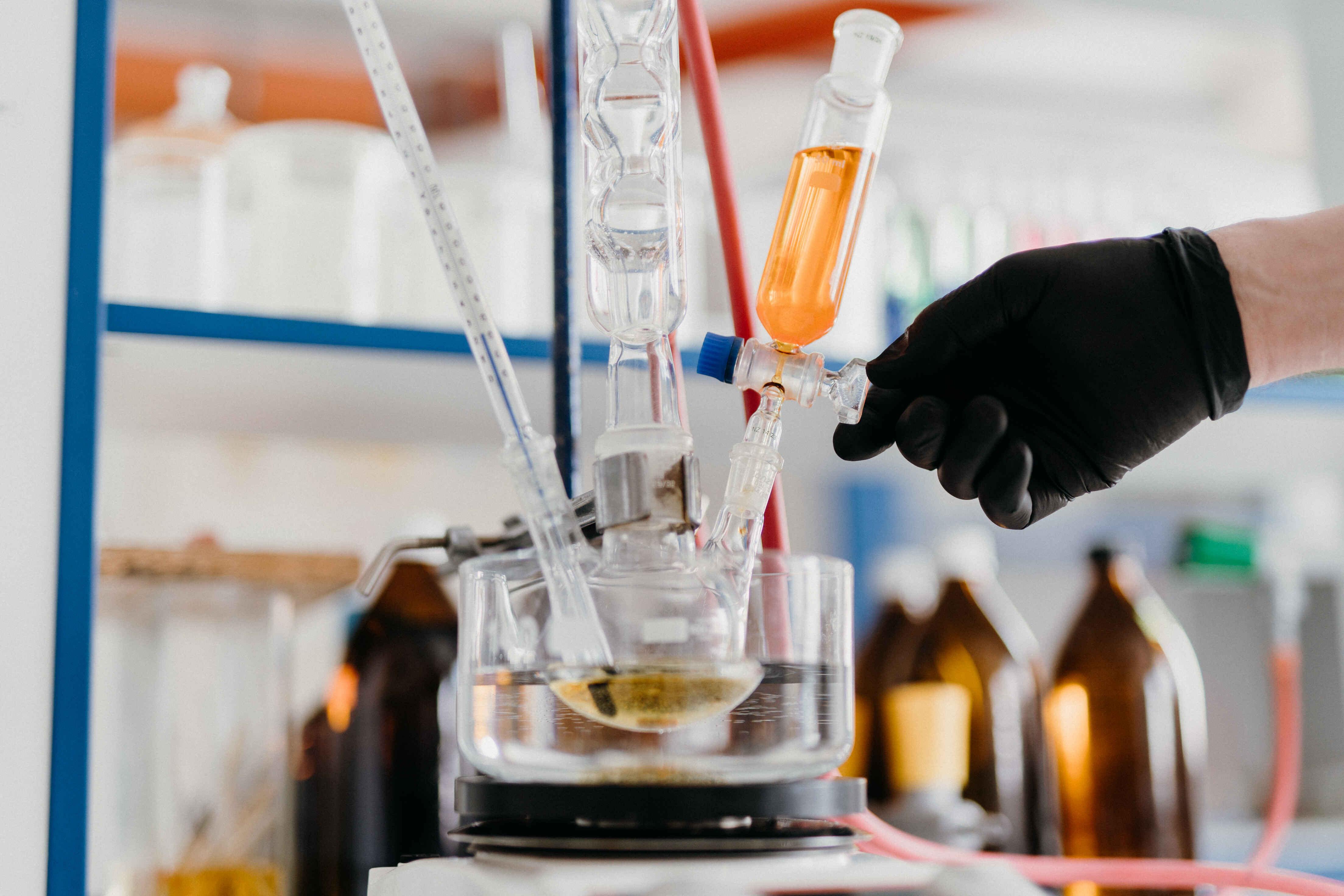 dsc0334 | WebJET CMS